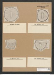 Campylodiscus wallichianus Grev. (de-Toni-Nr.: Genus 57, Species 2471) Zeichnungen Sammlung Grunow Nr. 4970 (NHMW-BOT-W0373200)